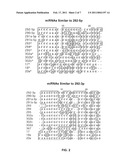 Promoter-Regulated Differentiation-Dependent Self-Deleting Cassette diagram and image