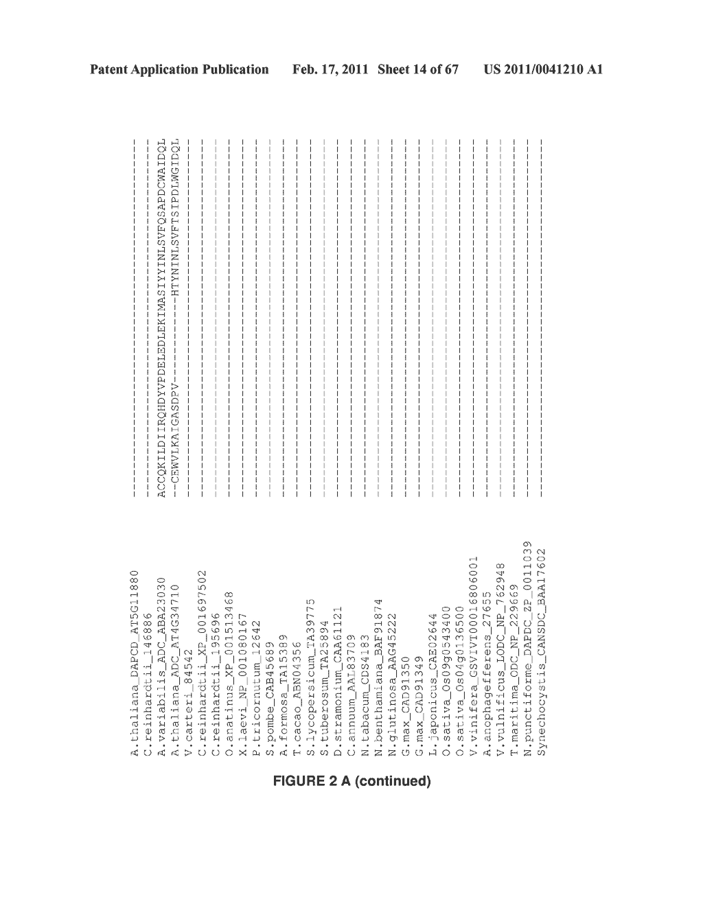 Plants Having Enhanced Yield-Related Traits and a Method for Making the Same - diagram, schematic, and image 15