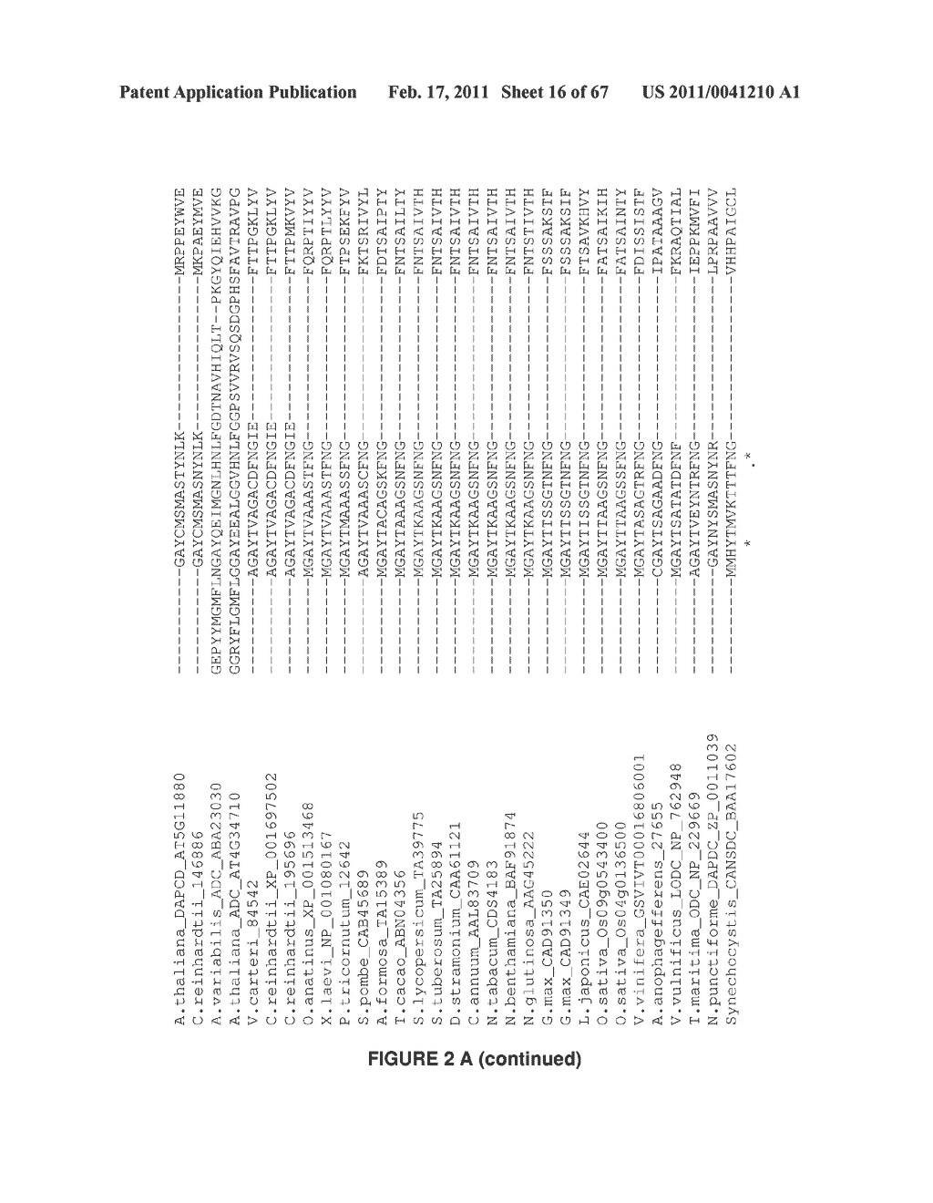 Plants Having Enhanced Yield-Related Traits and a Method for Making the Same - diagram, schematic, and image 17