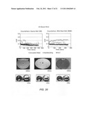 Coated sleeved oil and gas well production devices diagram and image