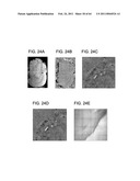 TOOL FOR ACCURATE QUANTIFICATION IN MOLECULAR MRI diagram and image