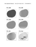 TOOL FOR ACCURATE QUANTIFICATION IN MOLECULAR MRI diagram and image