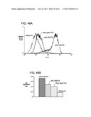 TOOL FOR ACCURATE QUANTIFICATION IN MOLECULAR MRI diagram and image