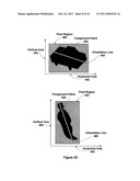 PIXEL-LEVEL BASED MICRO-FEATURE EXTRACTION diagram and image