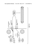 Miniature Fiber Optic Temperature Sensors diagram and image