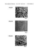 MEDICAMENT, DENTAL MATERIAL, AND METHOD OF SCREENING diagram and image