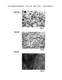 MEDICAMENT, DENTAL MATERIAL, AND METHOD OF SCREENING diagram and image