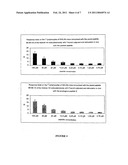 Peptide analogues comprising at least one type of aminoacylaza-$g(b)<sp>3</sp>and the use thereof, in particular for therapy diagram and image