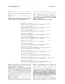 Peptide analogues comprising at least one type of aminoacylaza-$g(b)<sp>3</sp>and the use thereof, in particular for therapy diagram and image