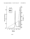 TRUNCATED RECOMBINANT MAJOR OUTER MEMBRANE PROTEIN ANTIGEN (R56) OF ORIENTIA TSUTSUGAMUSHI STRAINS KARP, KATO and GILLIAM AND ITS USE IN ANTIBODY BASED DETECTION ASSAYS AND VACCINES diagram and image