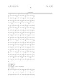 TRUNCATED RECOMBINANT MAJOR OUTER MEMBRANE PROTEIN ANTIGEN (R56) OF ORIENTIA TSUTSUGAMUSHI STRAINS KARP, KATO and GILLIAM AND ITS USE IN ANTIBODY BASED DETECTION ASSAYS AND VACCINES diagram and image