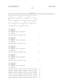 TRUNCATED RECOMBINANT MAJOR OUTER MEMBRANE PROTEIN ANTIGEN (R56) OF ORIENTIA TSUTSUGAMUSHI STRAINS KARP, KATO and GILLIAM AND ITS USE IN ANTIBODY BASED DETECTION ASSAYS AND VACCINES diagram and image