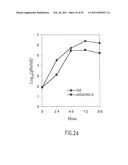 Recombinant RSV Virus Expression Systems And Vaccines diagram and image