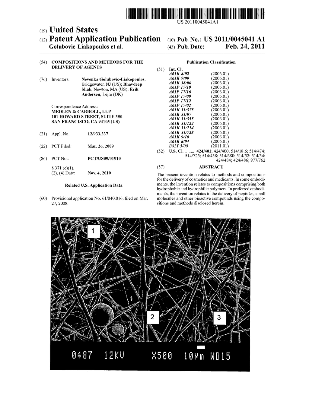 COMPOSITIONS AND METHODS FOR THE DELIVERY OF AGENTS - diagram, schematic, and image 01