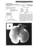 Production of and uses for decellularized lung tissue diagram and image