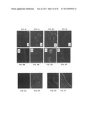 Production of and uses for decellularized lung tissue diagram and image