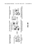 ISOLATED POPULATION OF LUMINAL STEM CELLS THAT GIVE RISE TO PROSTATE CANCER AND METHODS OF USING SAME diagram and image