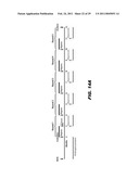 ISOLATED POPULATION OF LUMINAL STEM CELLS THAT GIVE RISE TO PROSTATE CANCER AND METHODS OF USING SAME diagram and image