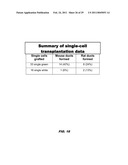 ISOLATED POPULATION OF LUMINAL STEM CELLS THAT GIVE RISE TO PROSTATE CANCER AND METHODS OF USING SAME diagram and image