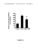 ANTI-ANGIOGENESIS, ANTICANCER PROLIFERATION PROPERTIES OF LYMPHOCYTIC-DERIVED MICROPARTICLES diagram and image