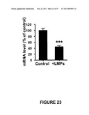 ANTI-ANGIOGENESIS, ANTICANCER PROLIFERATION PROPERTIES OF LYMPHOCYTIC-DERIVED MICROPARTICLES diagram and image