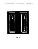 CASEIN PARTICLES ENCAPSULATING THERAPEUTICALLY ACTIVE AGENTS AND USES THEREOF diagram and image