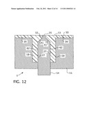 METHOD OF FORMING A MOLDED PLASTIC ARTICLE HAVING MOLDED EXTENSIONS diagram and image