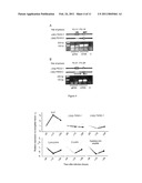 USE OF ANTI-MICROBIAL PEPTIDES AS BACTERIAL INFECTION RESISTANCE MARKERS IN PENAEOID SHRIMP diagram and image