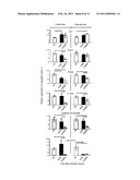 USE OF ANTI-MICROBIAL PEPTIDES AS BACTERIAL INFECTION RESISTANCE MARKERS IN PENAEOID SHRIMP diagram and image