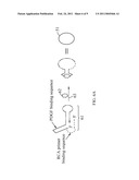 Field-effect transistor type biosensor and bio-signal amplification method thereof diagram and image