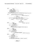 METHODS OF DIAGNOSING MYELODYSPLASTIC SYNDROME (MDS) OR LEUKEMIA USING NUCLEIC ACIDS OR FRAGMENTS ENCODING FLT3 KINASE diagram and image