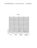 Polymerases for Incorporating Modified Nucleotides diagram and image