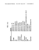 Polymerases for Incorporating Modified Nucleotides diagram and image