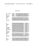 Polymerases for Incorporating Modified Nucleotides diagram and image