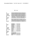 Polymerases for Incorporating Modified Nucleotides diagram and image