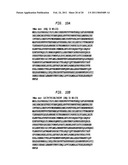 Polymerases for Incorporating Modified Nucleotides diagram and image