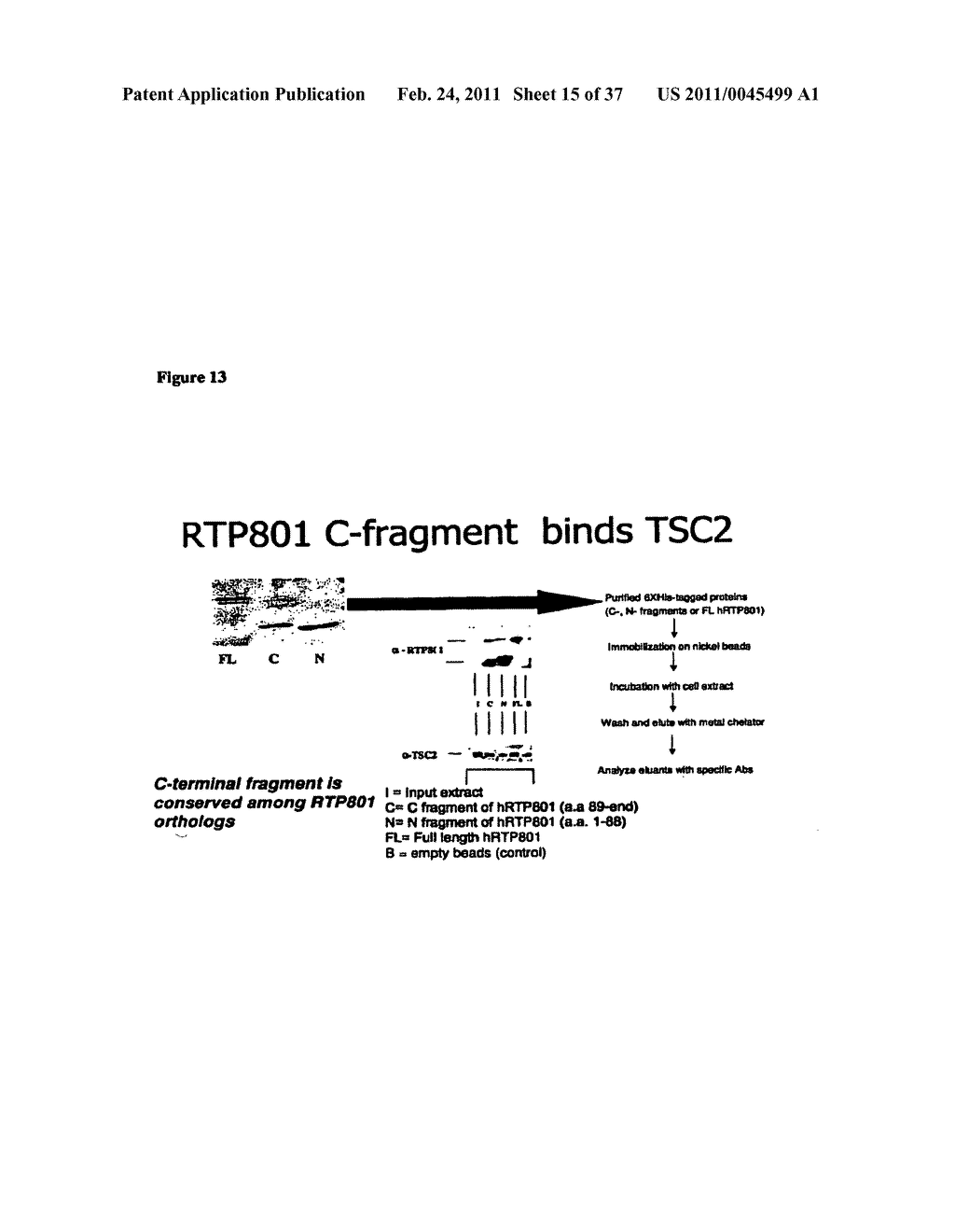 Screening systems utilizing RTP801 - diagram, schematic, and image 16