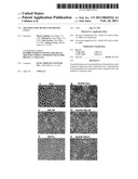 TRANSFECTION READY EUKARYOTIC CELLS diagram and image