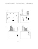 PRODUCTION OF GLYCOSYLATED POLYPEPTIDES IN MICRO ALGAE diagram and image