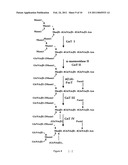 PRODUCTION OF GLYCOSYLATED POLYPEPTIDES IN MICRO ALGAE diagram and image