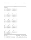 PRODUCTION OF GLYCOSYLATED POLYPEPTIDES IN MICRO ALGAE diagram and image