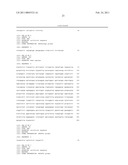 PRODUCTION OF GLYCOSYLATED POLYPEPTIDES IN MICRO ALGAE diagram and image