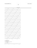 PRODUCTION OF GLYCOSYLATED POLYPEPTIDES IN MICRO ALGAE diagram and image