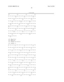 PRODUCTION OF GLYCOSYLATED POLYPEPTIDES IN MICRO ALGAE diagram and image