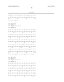 PRODUCTION OF GLYCOSYLATED POLYPEPTIDES IN MICRO ALGAE diagram and image