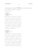 PRODUCTION OF GLYCOSYLATED POLYPEPTIDES IN MICRO ALGAE diagram and image