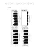 Peptide, Use Of The Peptide, Method For The Production Of The Peptide, Solid Support Having The Peptide Immobilized Thereon, And Method For Production Of The Solid Support diagram and image