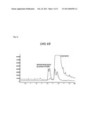 Fission Yeast Expressing Cytochrome P450 Reductase diagram and image