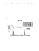 Fission Yeast Expressing Cytochrome P450 Reductase diagram and image