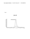 Fission Yeast Expressing Cytochrome P450 Reductase diagram and image